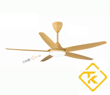 Quạt trần 5 cánh Asia Lighting QT09  có đèn led, 3 màu phong cách