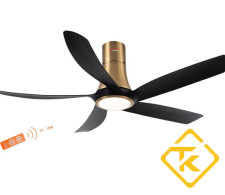 Quạt Trần Trang Trí Có Đèn LED ASIA LIGHTING QT14