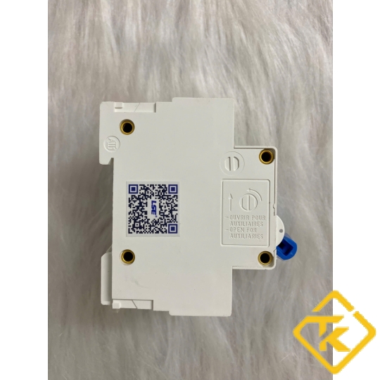 MCB 2P LS302 (80-100-125A) xanh dương (CB Tép LSE)