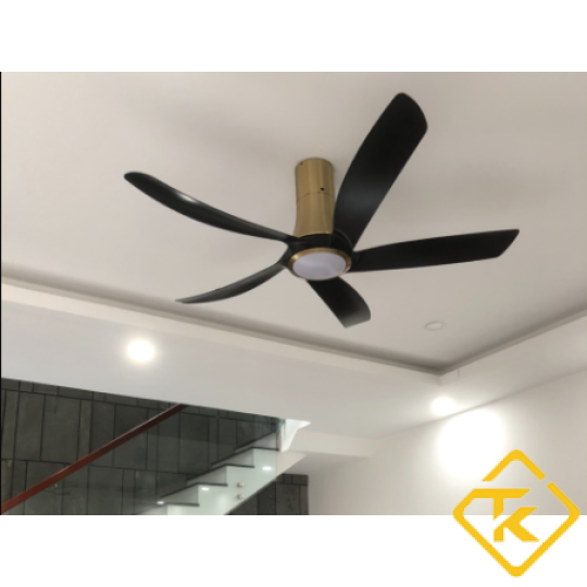 Quạt Trần Trang Trí Có Đèn LED ASIA LIGHTING QT14