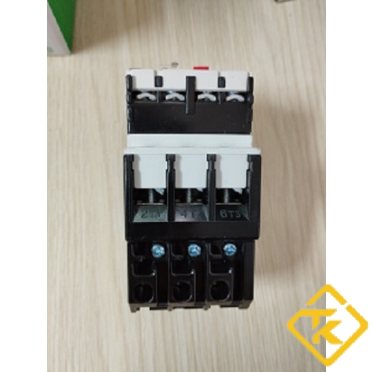 RỜ LE NHIỆT  (RELAY)  48-65A- LSE