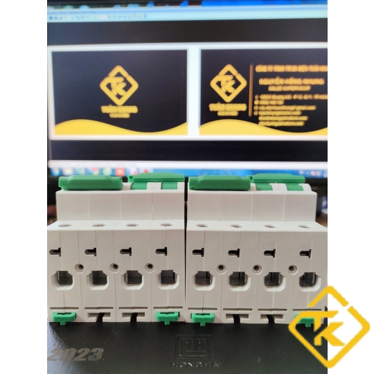 Cầu Dao Đảo Chiều Đôi 2 Pha LSE 