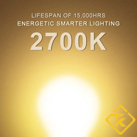  Bóng LED Filament Megaman 4W C35/G45 đơn giản hiện đại